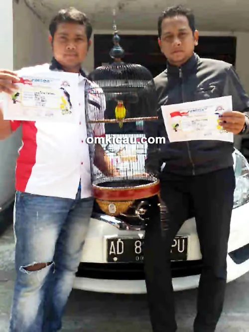 Arif MP Solo