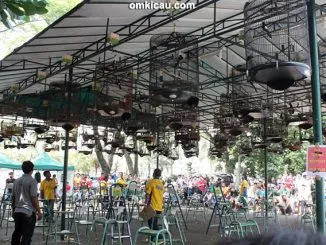 Kelas murai batu Rajawali S3 BC BSD