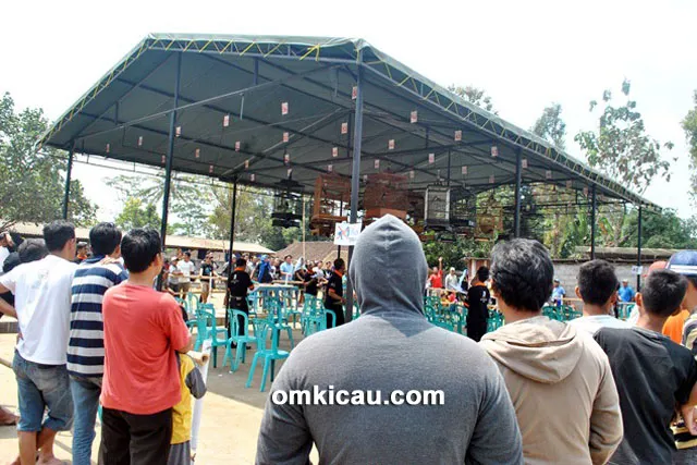 Lomba burung Pakica Ampel Boyolali