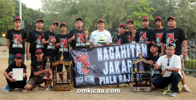 Yogi Naga Hitam SF