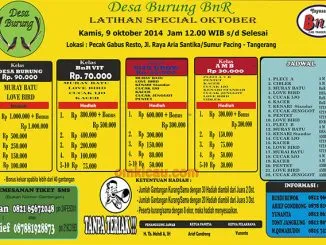 Feat Desa Burung