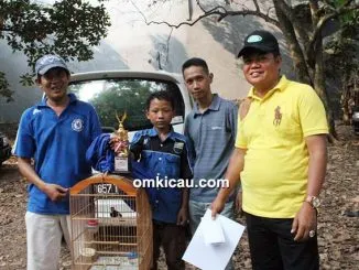 Mego Siswanto dan jalak suren Watu Lintang