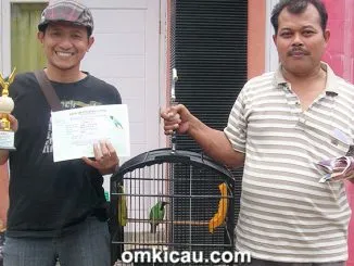 Cucak Hijau Mas Bro 11