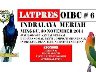 Feat Oibc