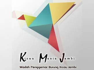 Feat Kmj