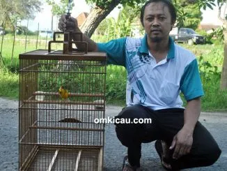 Susilo bersama kenari Tweety