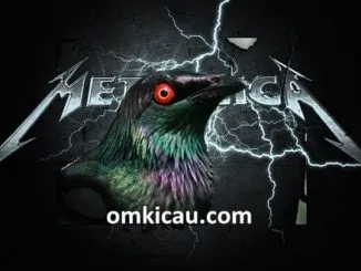 Aplonis metallica si burung metal dari timur Indonesia
