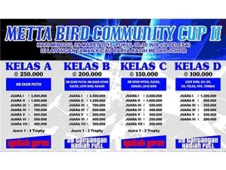 Feat Metta Bird