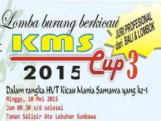 Feat Kms Cup3