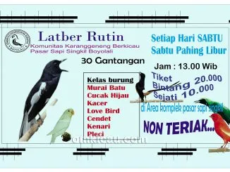 Latber Rutin Komunitas Karanggeneng Berkicau, Boyolali, Sabtu jam 13