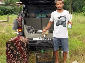 Feat Om Coy