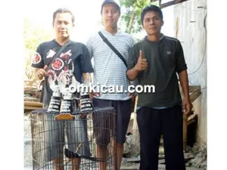 Feat Murai Batu Pacman