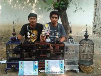 Plat C Tanjung