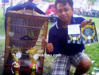 Feat Cucak Hijau Dinamit