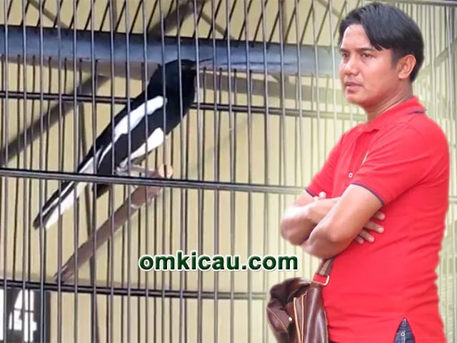 Om Said dan kacer Tikuz