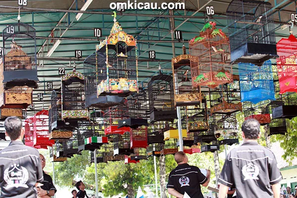 Lomba burung berkicau Warehouse BnR Cup Jogja