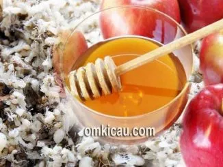 Variasi pakan tambahan untuk burung pemakan buah-buahan