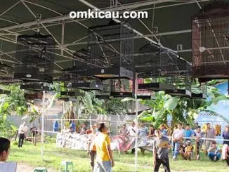 Suasana Latber Osco Petro Bc1