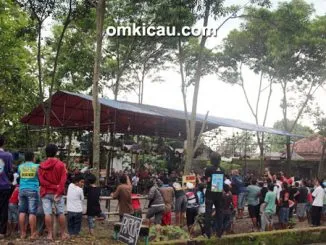 Lomba burung berkicau POP Special di Pedan, Klaten