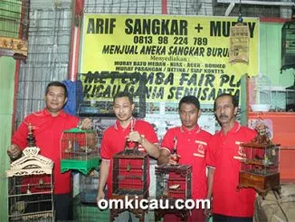 Feat Pleci Arif Sangkar