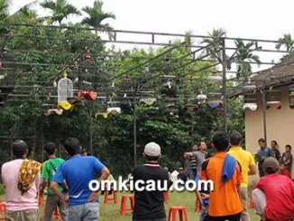 Latber Ceria Kota Jambi