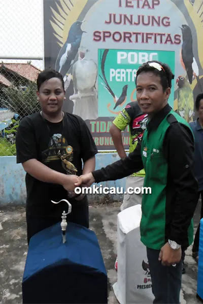 JUARA 1 KACER POBC KACER SOLO BERRICK 1 1
