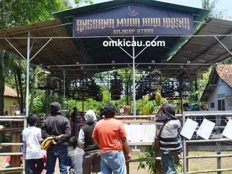 Gantangan AMBA Ciut