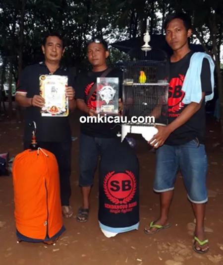 Team SB SF