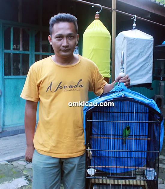 Om Arta dan cucak ijo Sersan