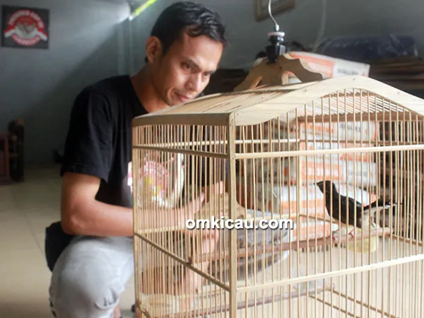 Om Iskandar Atjeh dan murai batu DJ