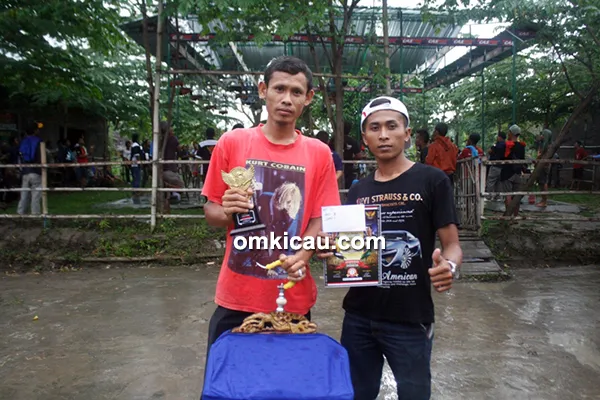 Kacer Pelor Mas