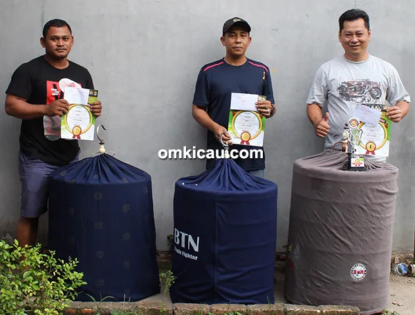 Om AXL dan murai batu Bintang
