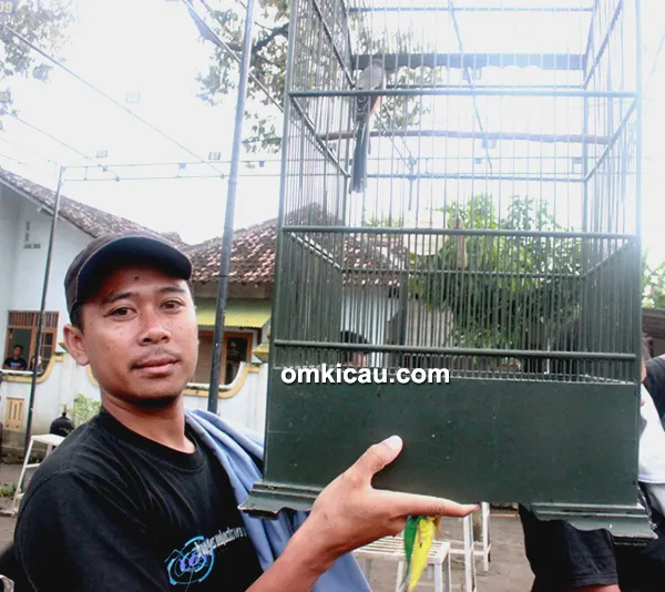 Bung Ali dan cendet Samba