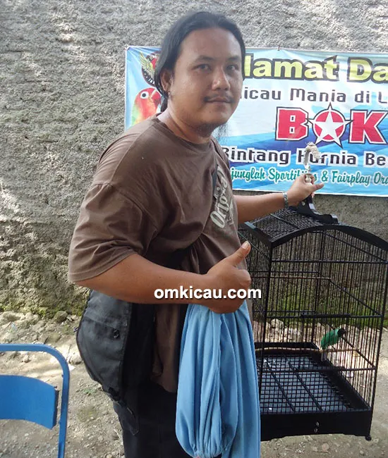 Cucak ijo Botol Ijo
