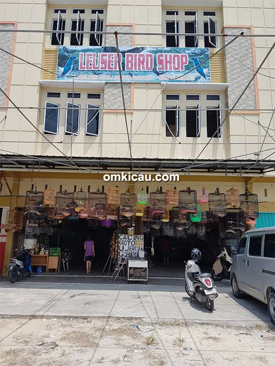 Leuser Bird Shop Pekanbaru makin ramai