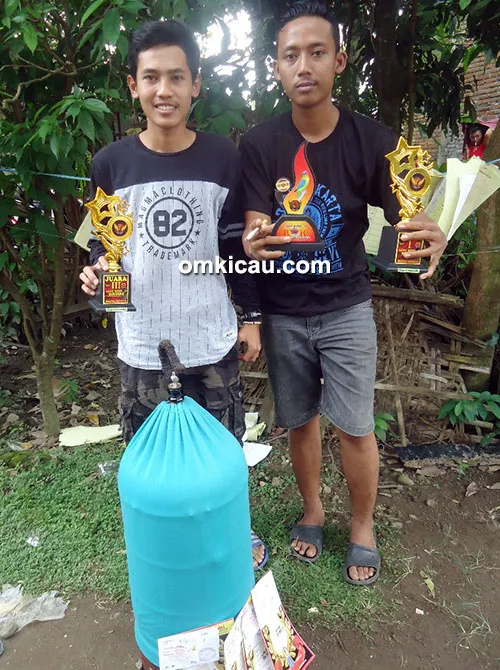 Om Angga Projek SF