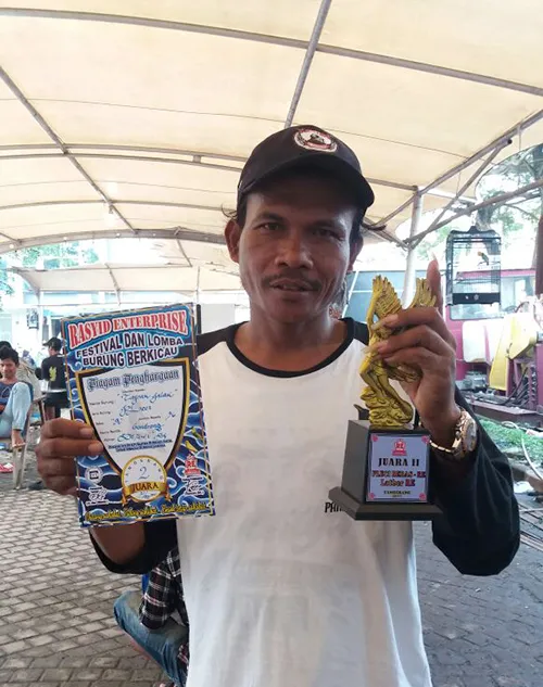 Pleci Tapak Jalak