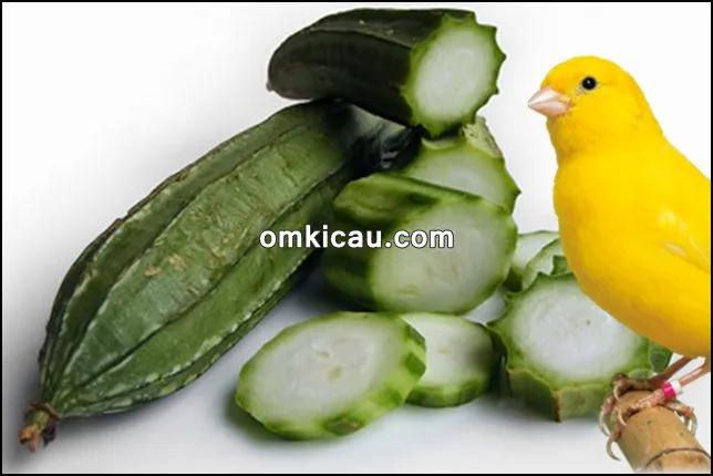Oyong