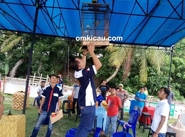 Latber Sahabat Radjawali Bangko