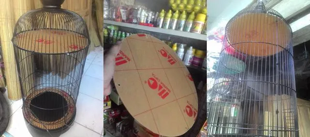 Atap plafon untuk sangkar burung