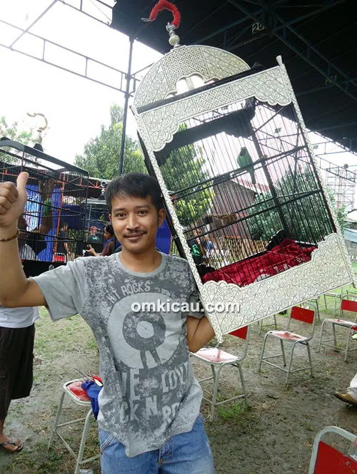 Cucak hijau New Robicon