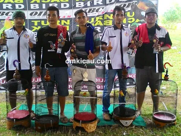 Latpres OIBC #16