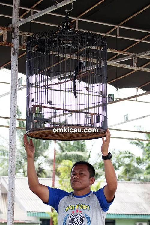 Lomba burung berkicau Hose BF Cup 1 Jambi