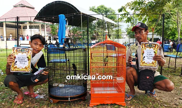 Mbalun SF Juara 1 Atas Murai Batu Black Diamond Dikelas Bintang
