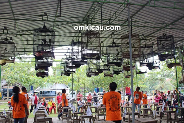 Lomba burung Anniversary GRB Mondokan Sragen
