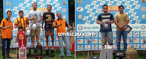 Lomba burung berkicau CD Cup II Bangko