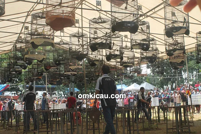Lomba burung berkicau Hanggar Cup 1