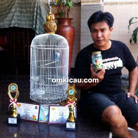 Testimoni pakan Power-R Lovebird