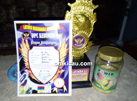 Testimoni pakan Power-R Lovebird
