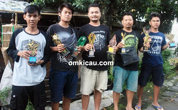 SOB Canary Jogja